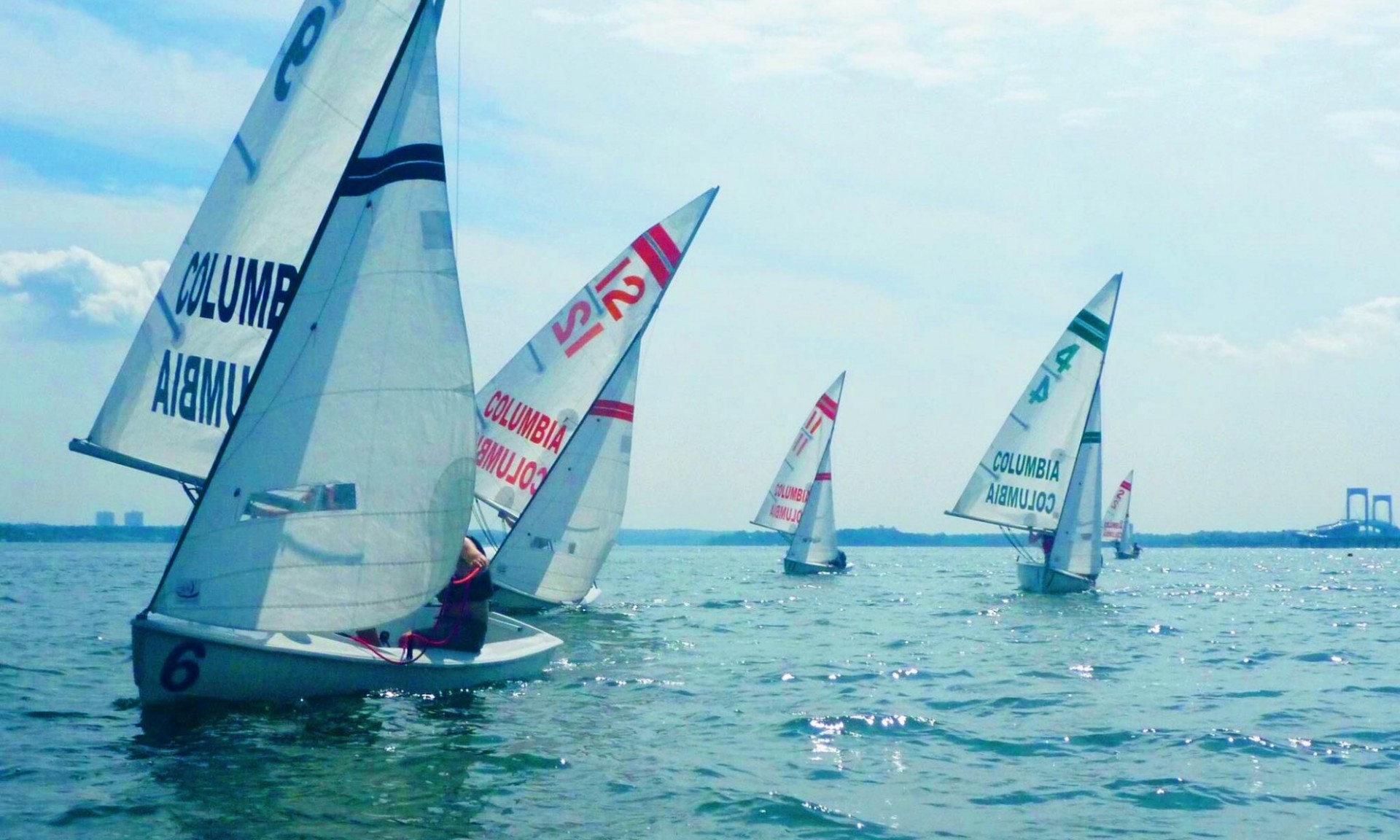 A group of sailboats from Columbia's sailing club move through the water.