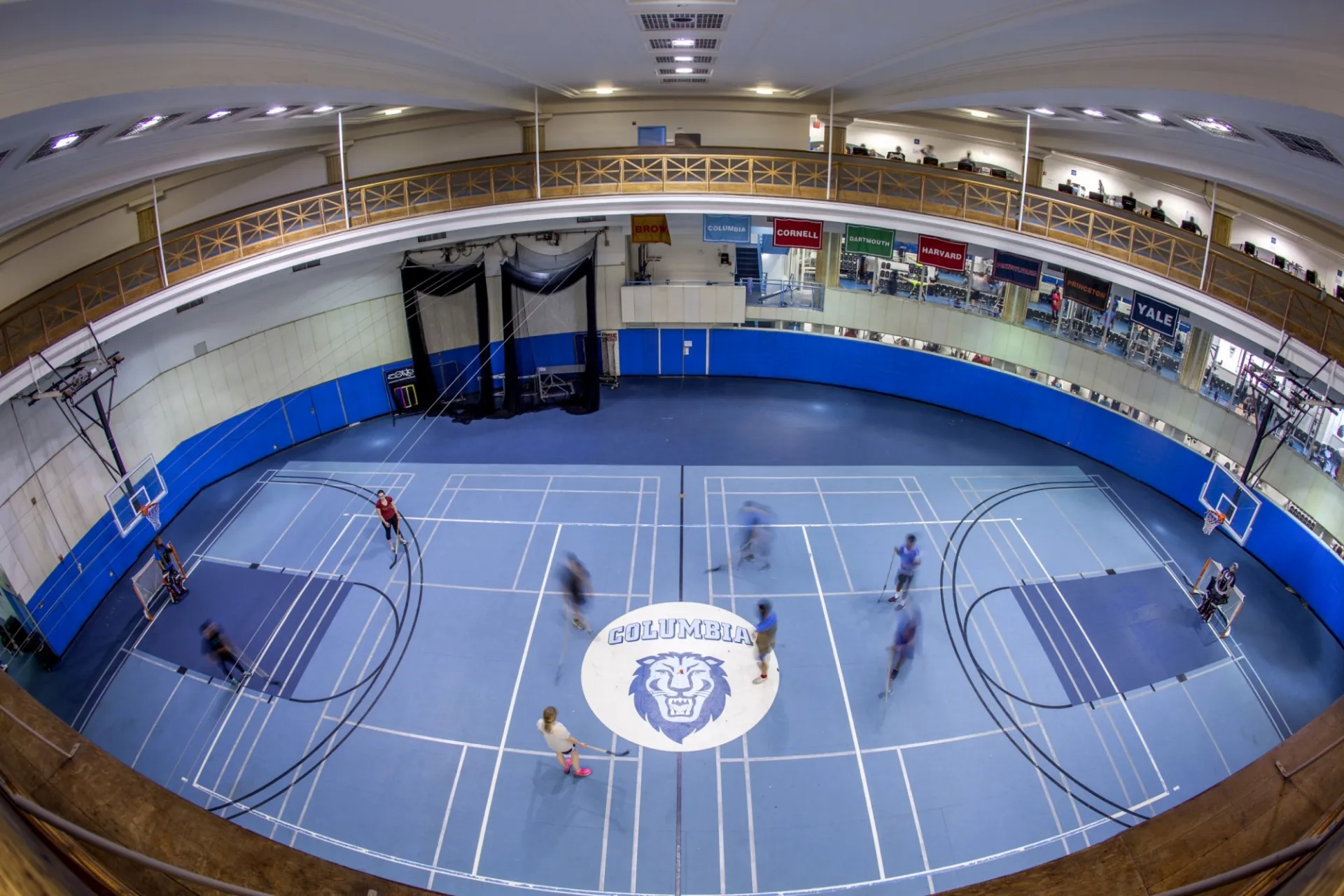 DBlue Gym.jpg